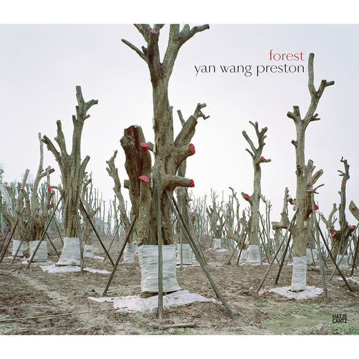 Yan Wang Preston: Forest